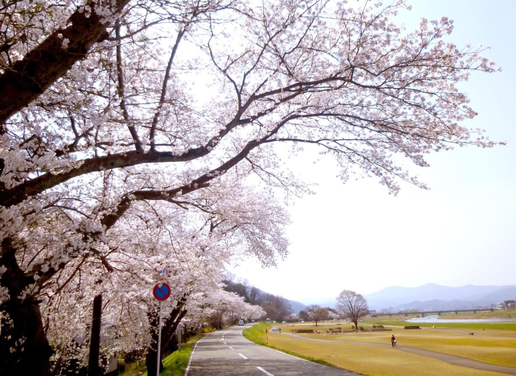 Hideaway Tabaki วิลล่า Echizen (Fukui)